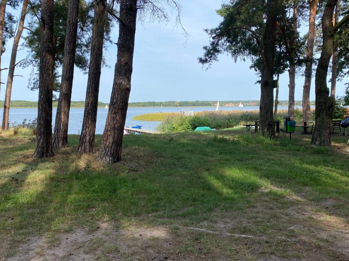 Apartament Wiewiorka Radzyn Luaran gambar